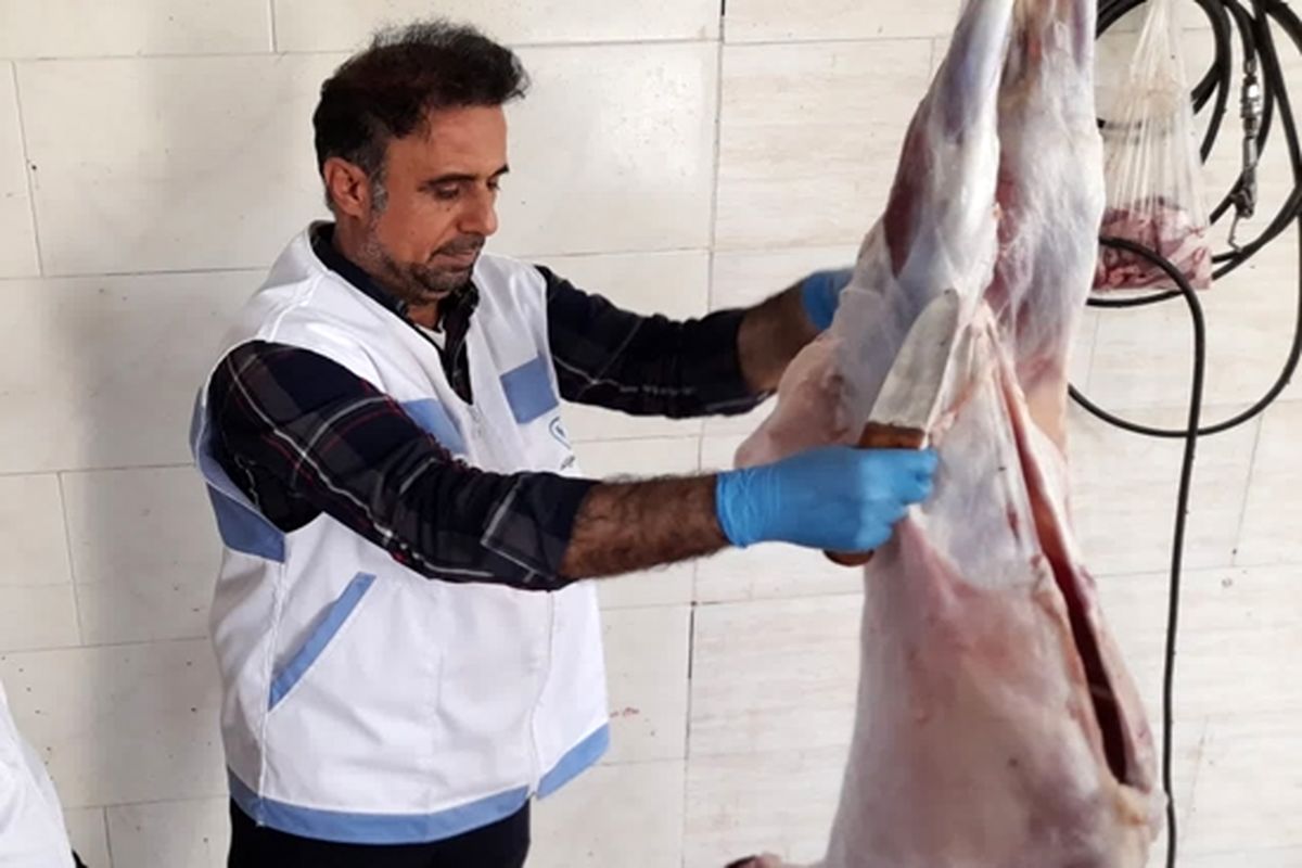 بازرسی دام