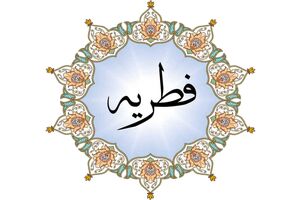 مردم لرستان 43 میلیارد ریال فطریه پرداخت کردند