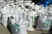 نابودی خاک کشاورزی وطن با کودهای اروپایی / جهادکشاورزی وعده سر خرمن می‌دهد