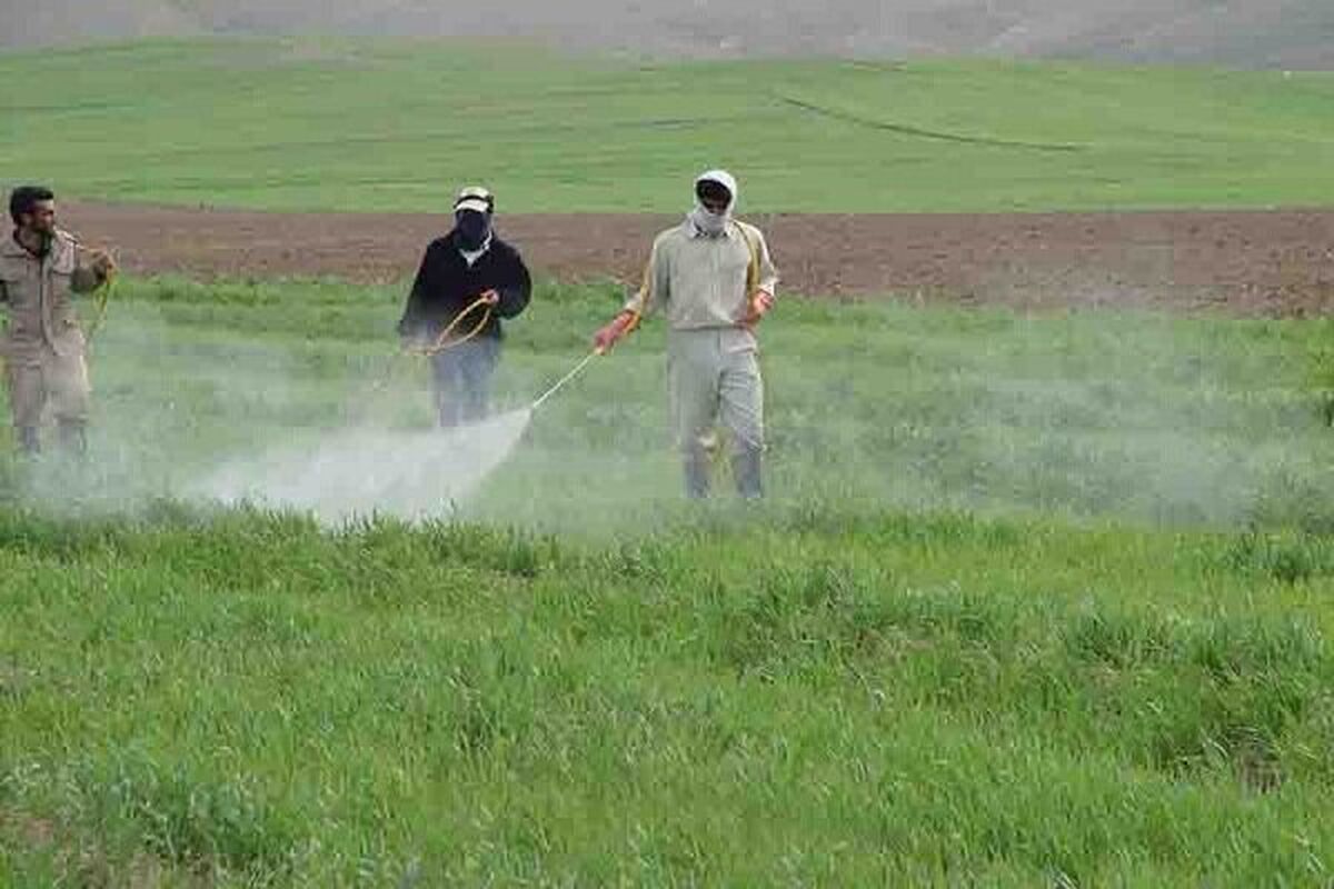 سمپاشی کشتزارهای خراسان رضوی