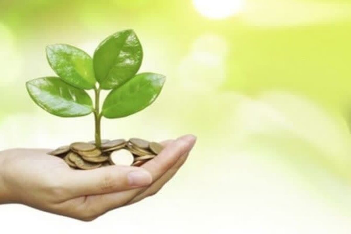 عکس خبرکمیته