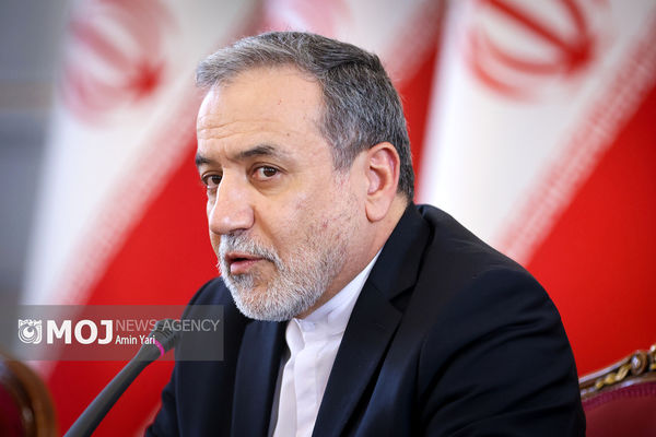 حامی مقاومت و اهداف بزرگ آن هستیم