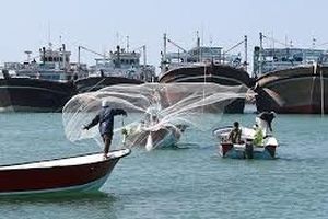 شیلات هرمزگان پیگیر حمایت از جامعه صیادی 