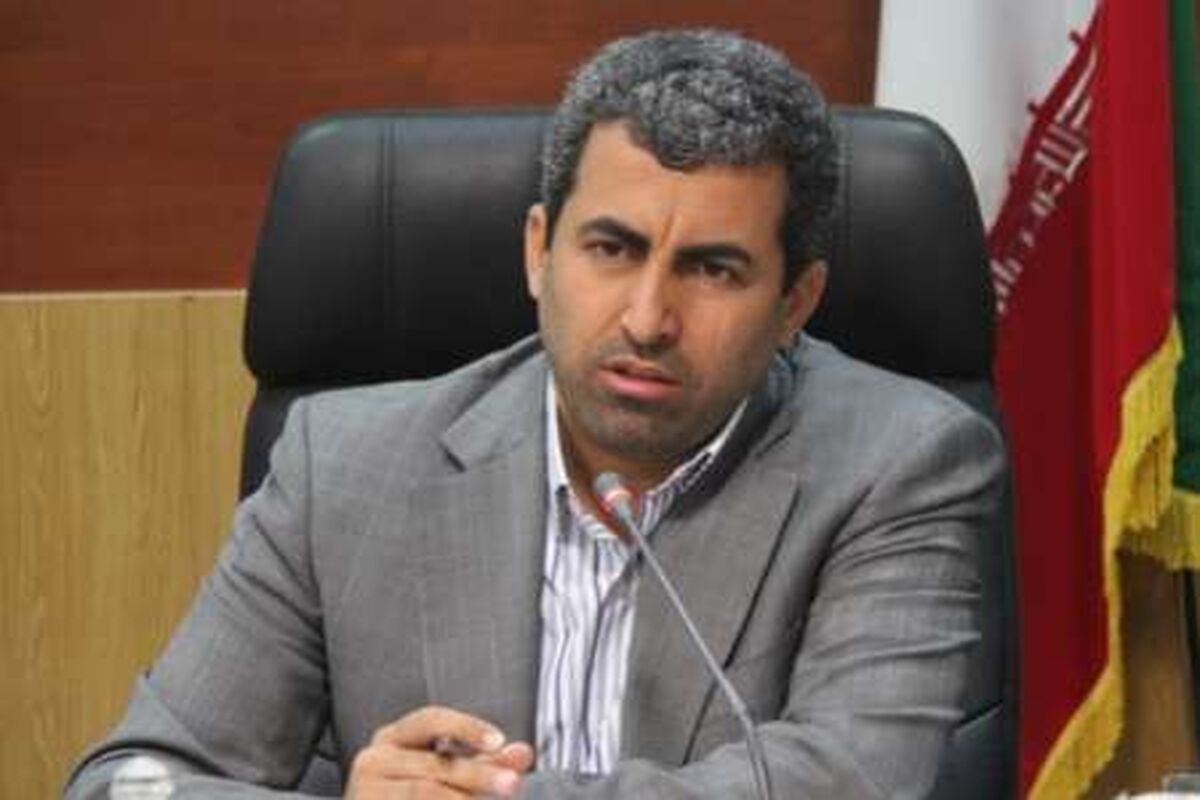 رئیس کمیسیون اقتصادی مجلس