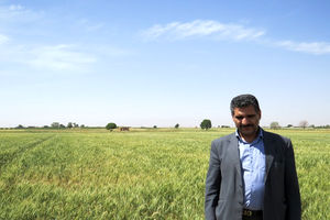 خرید نهاده های دامی انجام شده اما از گمرک ترخیص نشده است