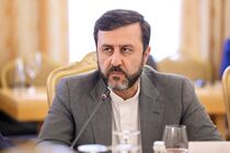 ارسال سلاح به اسرائیل مشارکت انگلیس و فرانسه را در جنایات علیه فلسطینی ها نشان می دهد