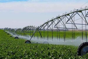 اجرای روش‌های نوین آبیاری در مزارع ذرت علوفه‌ای شهرستان تایباد