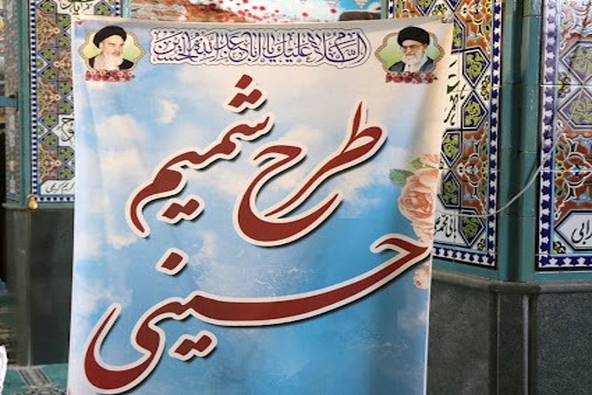 شمیم حسینی