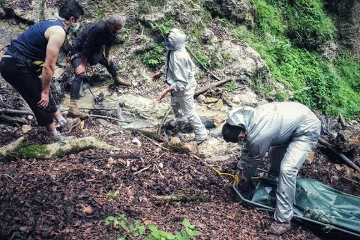 سها رضا نژد