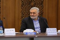 انسجام در تیم اقتصادی دولت مشاهده نمی شود 