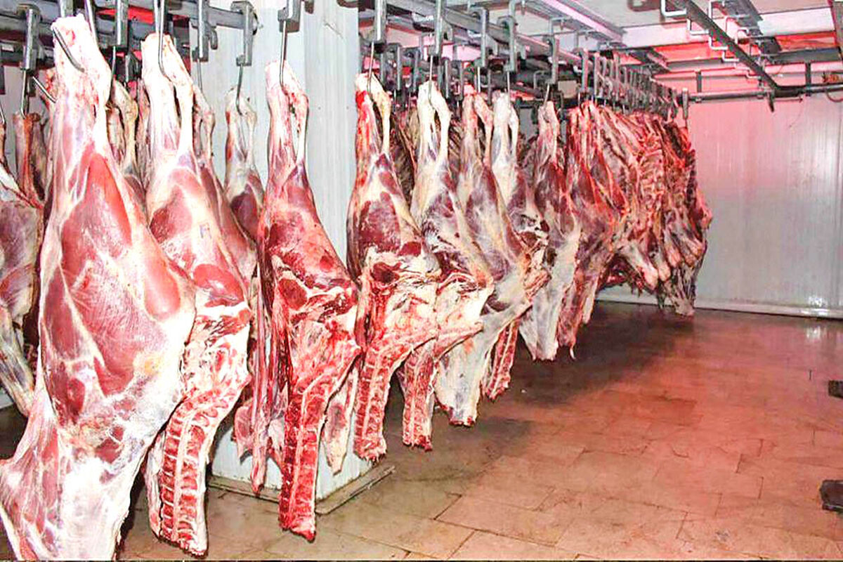 ذخیره گوشت قرمز