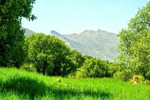 هفت سین طبیعی ایلام بدون مهمان و گردشگر  