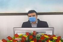 حمله سگ ولگرد و مشکوک به هاری به 9 نفر در کاشان
