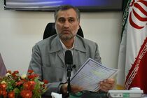 صندوق قرض‌الحسنه امداد ولایت، پیشرو در ترویج این سنت در کشور 