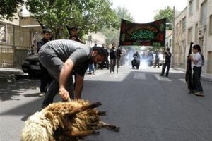 ۷۸ گروه دامپزشکی بر ذبح دام‌های قربانی تاسوعا و عاشورا در آذربایجان شرقی نظارت می‌کنند