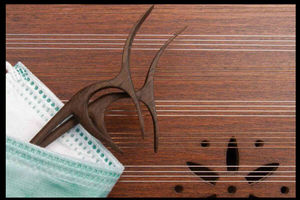 کنسرت آنلاین «برخط ماه و نوا» به ایستگاه سوم رسید