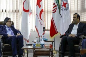 آمادگی هلال احمر ایران در ارسال غذا و دارو به یمن