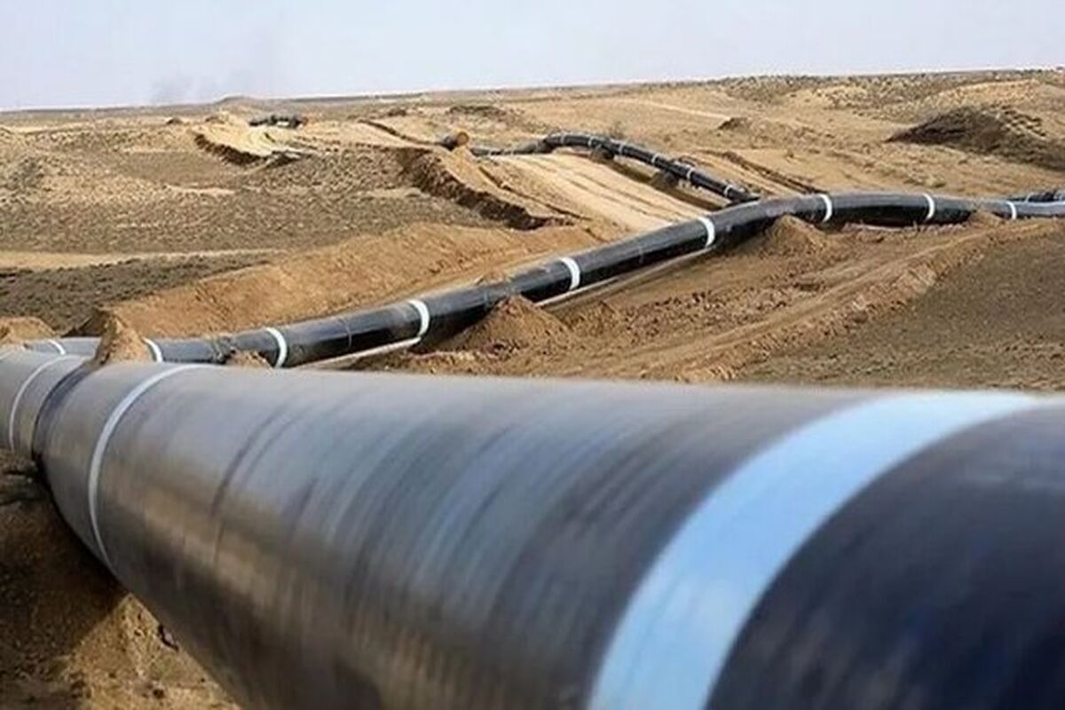 نفت