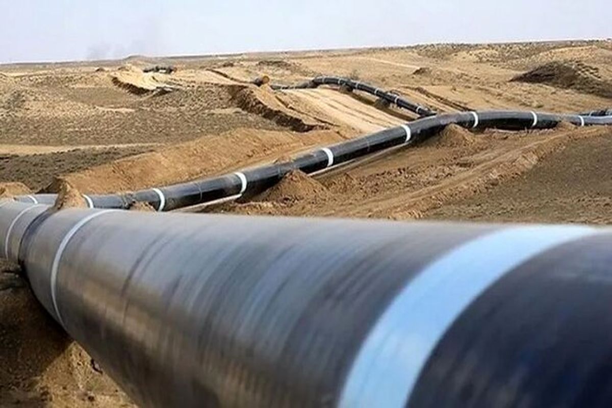نفت