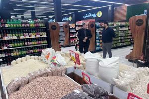 وزیر جهاد کشاورزی از مراکز خرید در تهران بازدید کرد