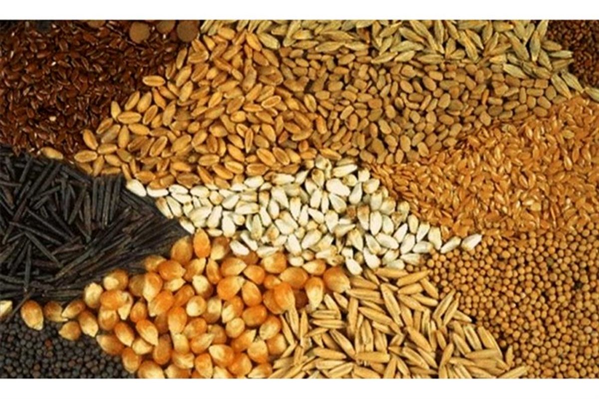 نهاده‌های دامی