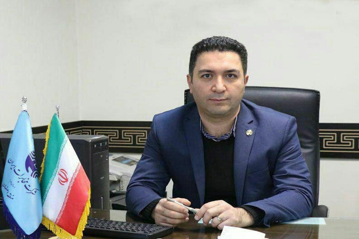 شاهین ملک زاده