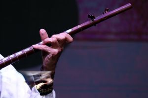 کنسرت بداهه‌نوازی تار و تنبک در تهران برگزار می‌شود