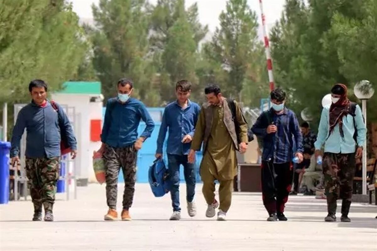 پناهجویان