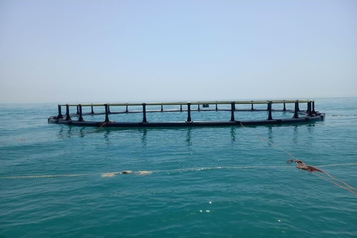 پرورش ماهی