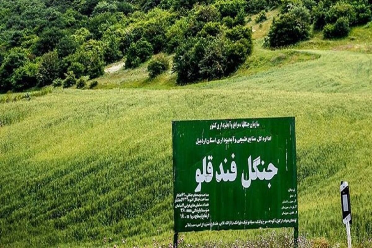 جنگل فندقلو