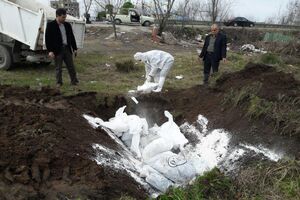 معدوم سازی مرغان خانگی مبتلا به آنفلوآنزای مرغی در خمام