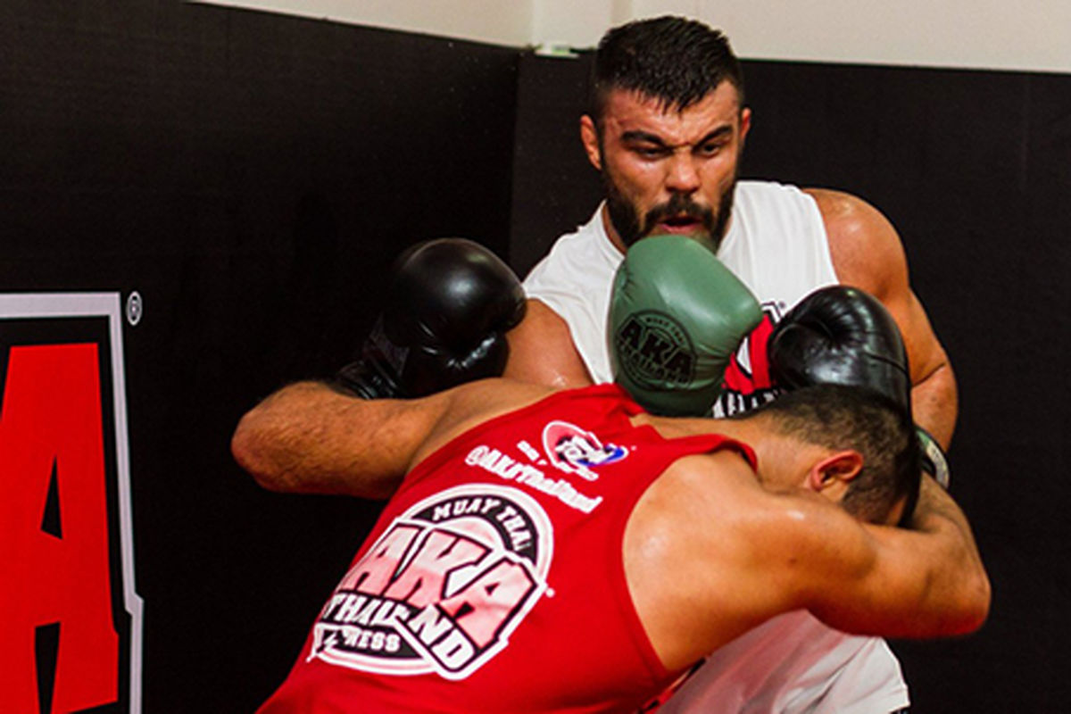 1 امیر علی اکبری کشتی گیر سابق تیم ملی