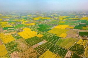 بیش از ۱۳۵ هزار متر مربع از اراضی ملی در خوزستان رفع تصرف شد