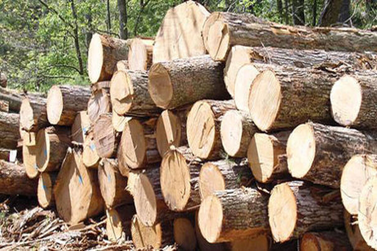 چوب