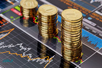 صدور مجوز ۱۱ طرح سرمایه گذاری خارجی در فارس به ارزش ۴۲ میلیون دلار