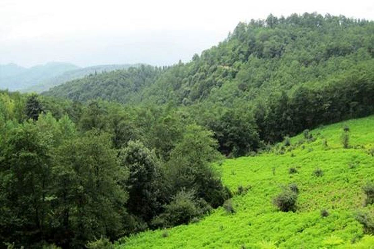 طبیعت سوادکوه