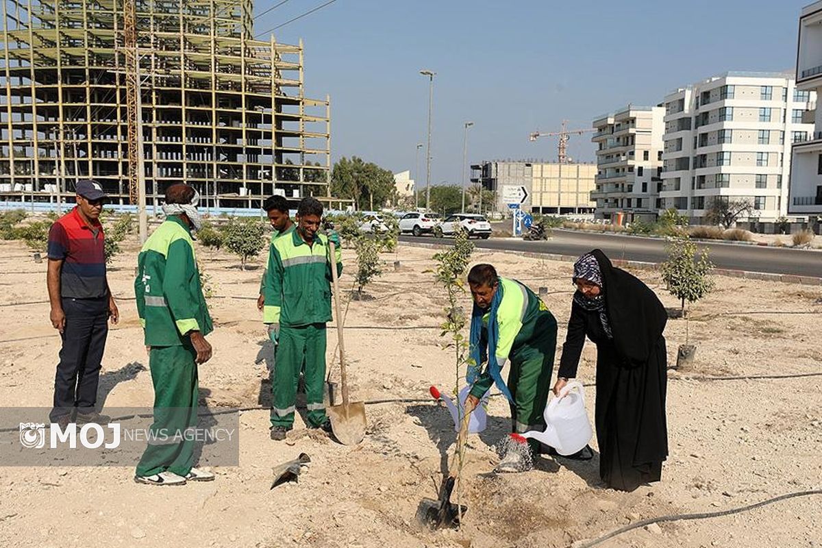 پویش درخت کاری در کیش