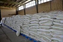 انبار احتکار 32 میلیارد ارزاق عمومی در قم لو رفت