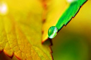 دستگیری ۱۷۰ مدیر شبکه‌های‌ اجتماعی در فارس به وسیله سپاه