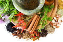 درصدد ارائه راه‌حل های درمانی طب سنتی برای کرونا هستیم