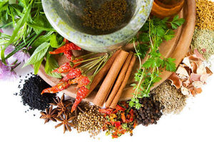 راه اندازی 20 سلامتکده طب سنتی در کشور تا نیمه دوم سال96