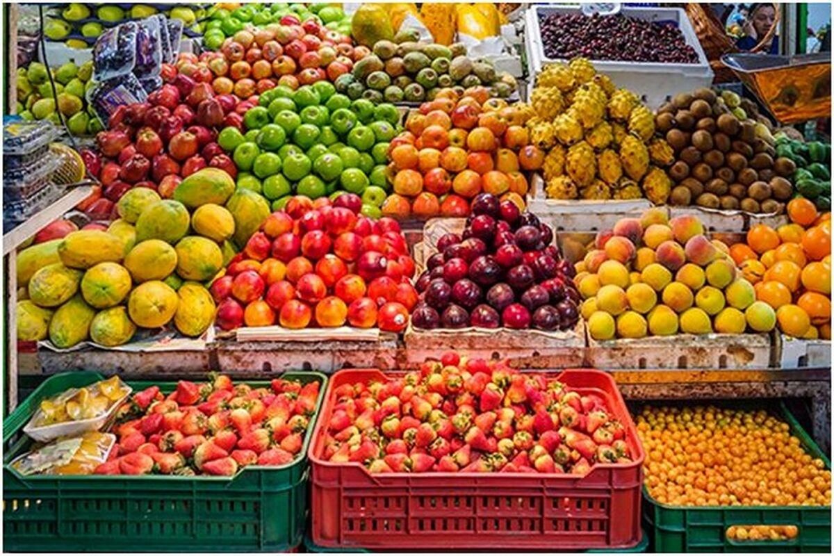 گشت میوه