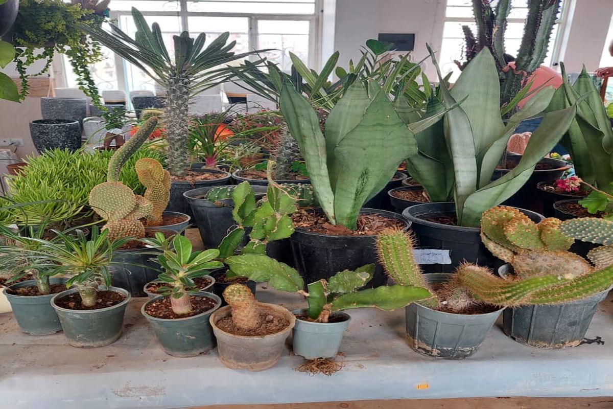 نمایشگاه دائمی گل و گیاه