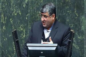صنعت مرغ در کشور دچار ورشکستگی شده است