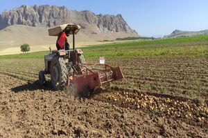 چهارمحال‌وبختیاری همگام با فناوری تولید بذر حرکت می‌کند