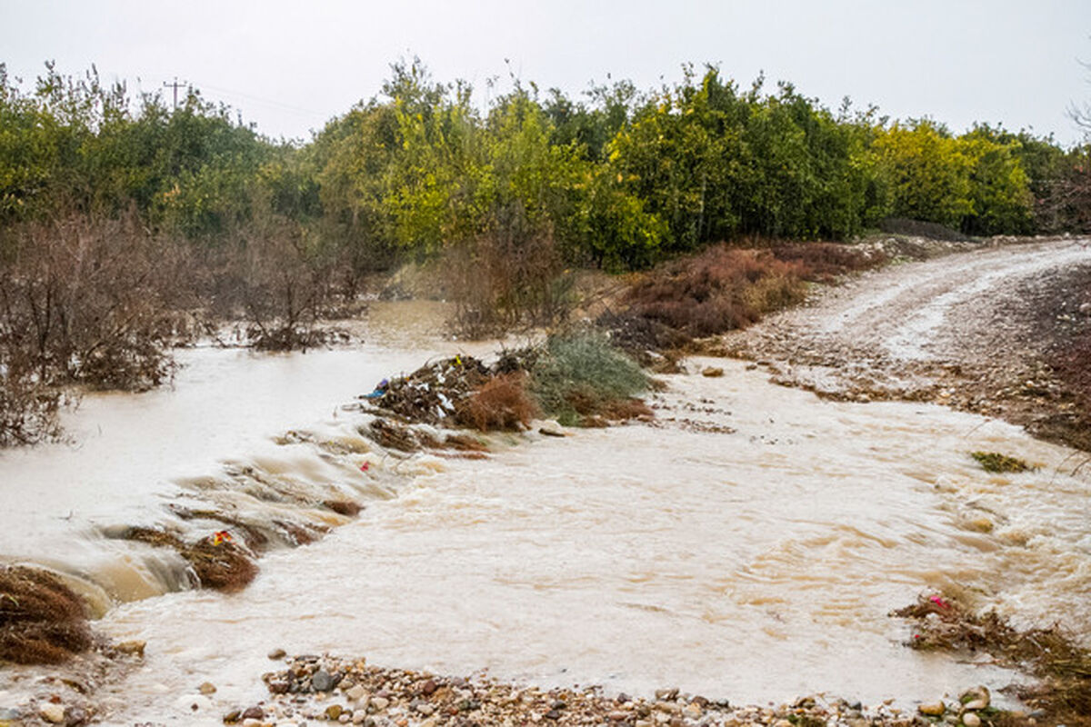 سیل