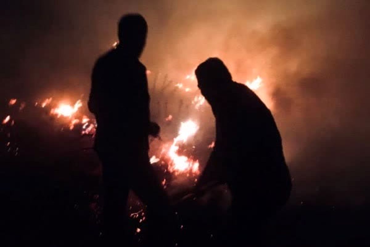 آتش سوزی در اطراف دریاچه نئور