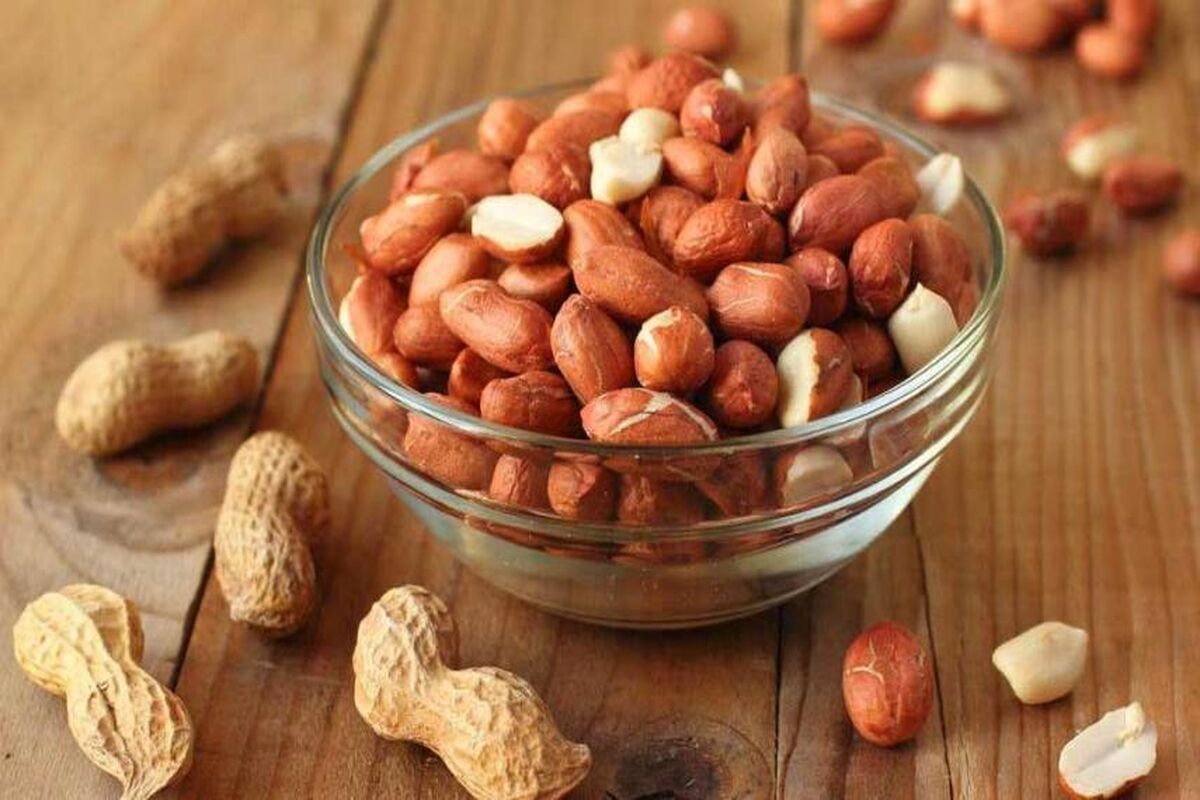 قیمت نوبرانه بادام زمینی درآستانه اشرفیه