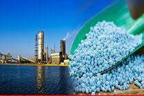 صادرات پتروشیمی پردیس به آفریقا متوقف نشده است/ افزایش ناگهانی نرخ خوراک و سوخت چالش واحد‌های تولیدکننده اوره