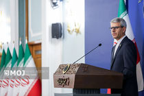 موضع سخنگوی وزارت امور خارجه راجع به ضرورت اقدام قاطع و هماهنگ برای مقابله با تروریسم در سوریه